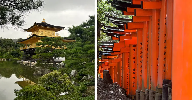 京都千本鸟居旅拍 - 吃瓜黑料